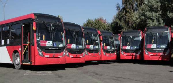 Vista de buses nuevos estacionados que pertenecen a la empresa Red bus, de color rojo y que se usarán en los servicios de este operador